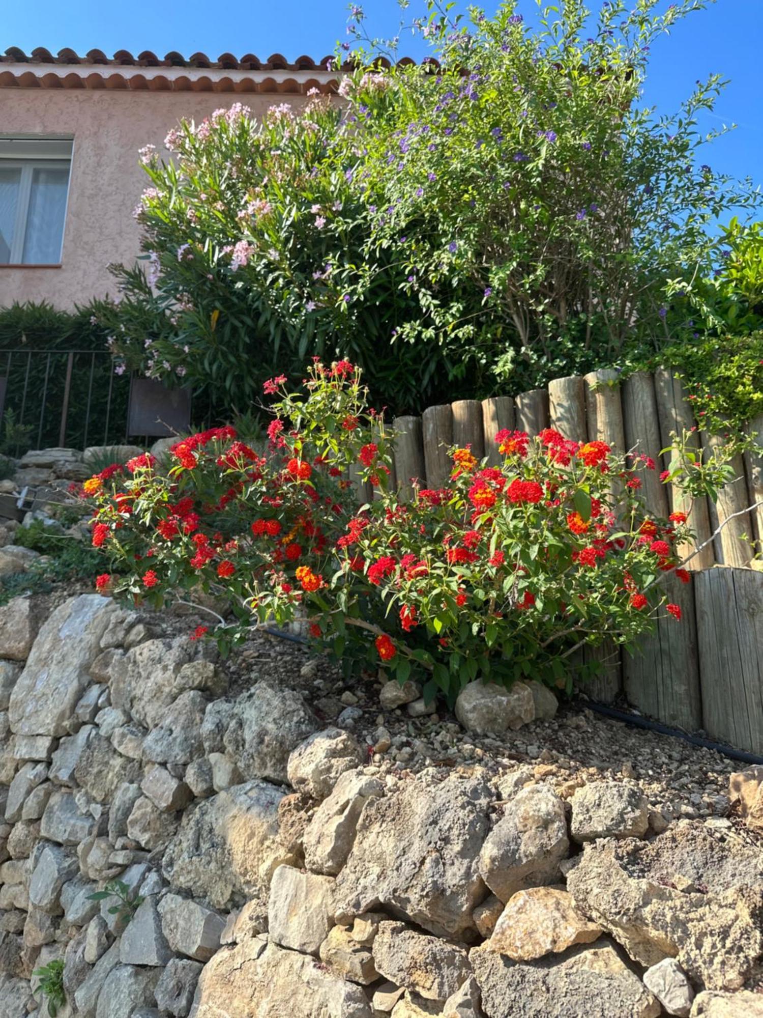 Les Amandiers Apartment Draguignan Luaran gambar